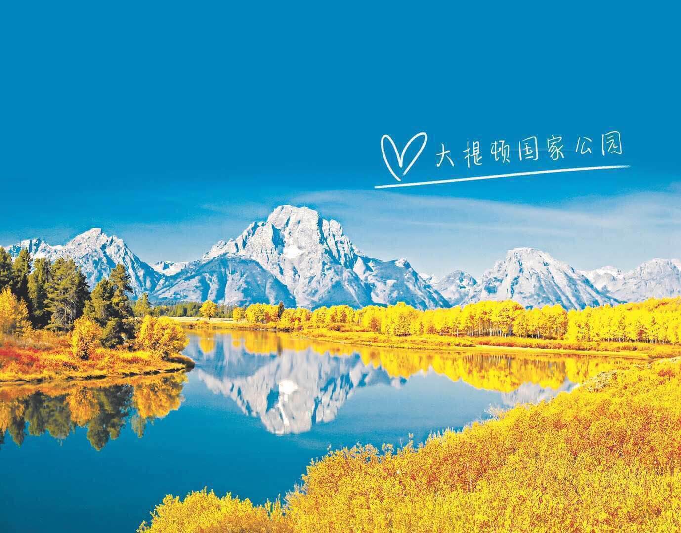 202002111941417142