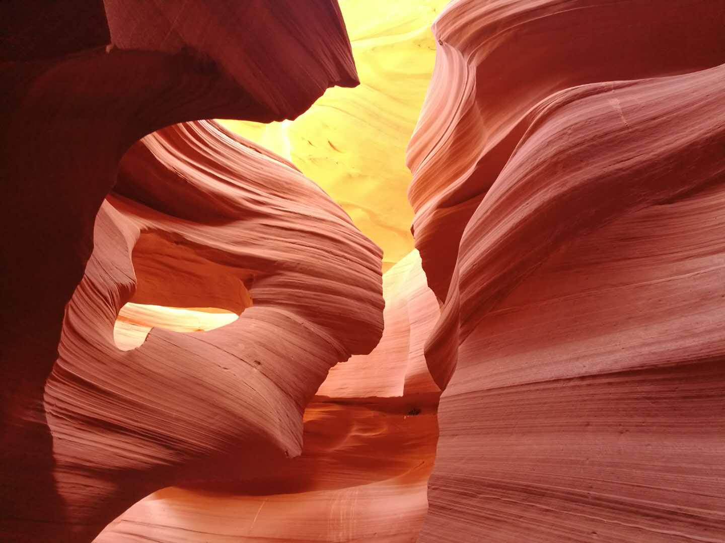 202004130050065436